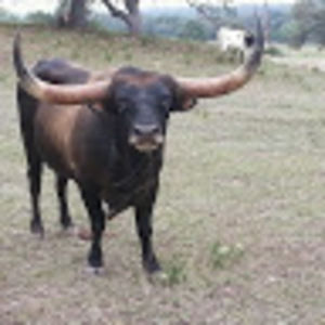 Meet your Posher, Mb